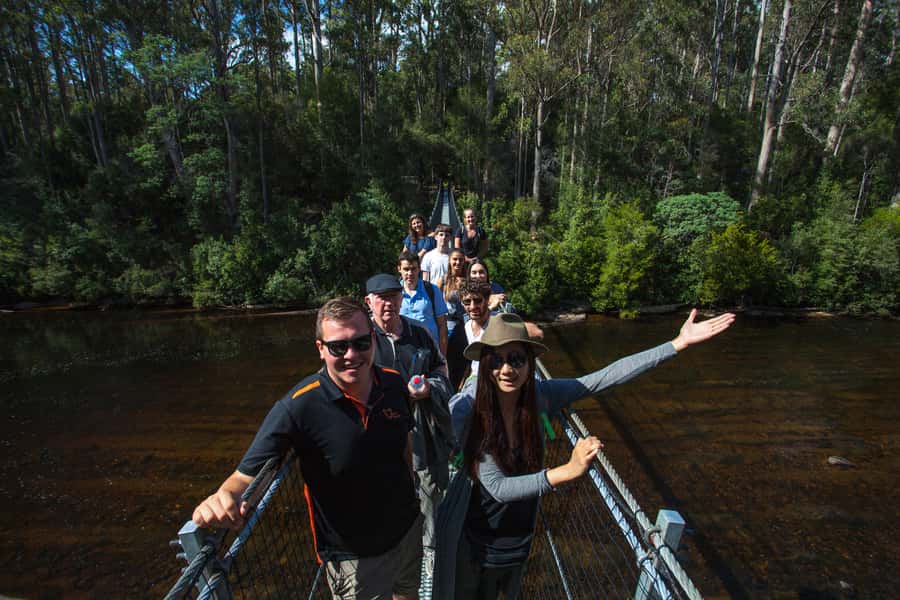 Hobart: Tahune Airwalk & Hastings Caves - Active Day Tour - Guides and the small-group advantage