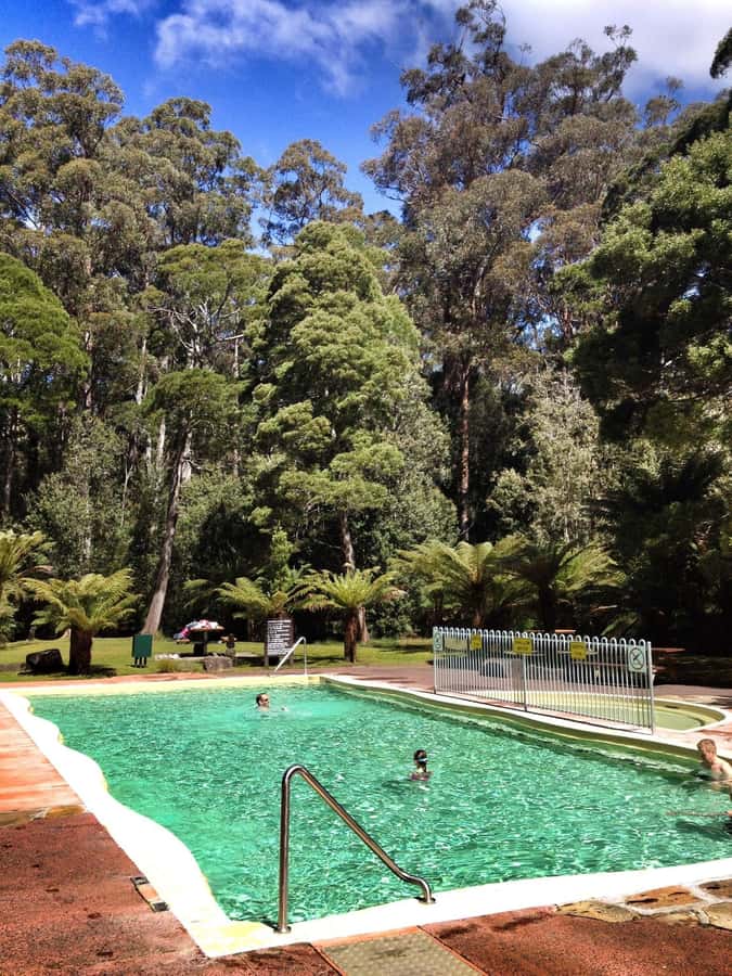 Hobart: Tahune Airwalk & Hastings Caves - Active Day Tour - Tahune Airwalk and the first 104 stairs