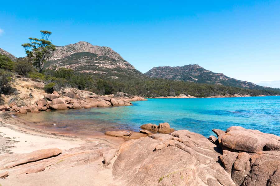 Hobart: Wineglass Bay, Freycinet Park, and Richmond Tour - Rosny Hill and the return to Hobart