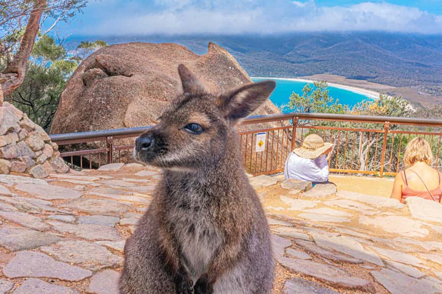 Hobart: Wineglass Bay, Freycinet Park, and Richmond Tour - Raspins Beach and the story of Maria Island