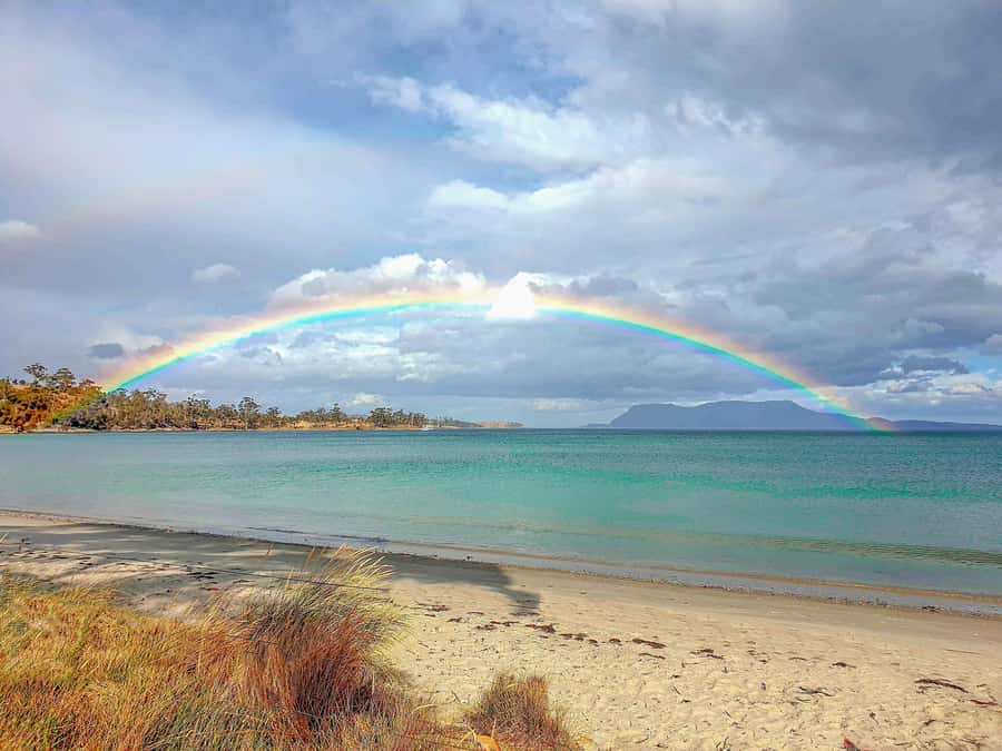 Hobart: Wineglass Bay, Freycinet Park, and Richmond Tour - Cape Tourville and Honeymoon Bay