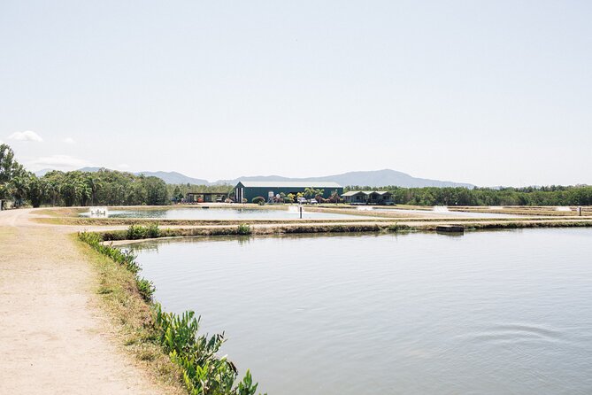 Hook-a-Barra Gourmet Farm Tour - Viewing tanks and fish sampling