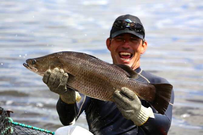Hook-a-Barra Gourmet Farm Tour - Watching the barramundi feeding