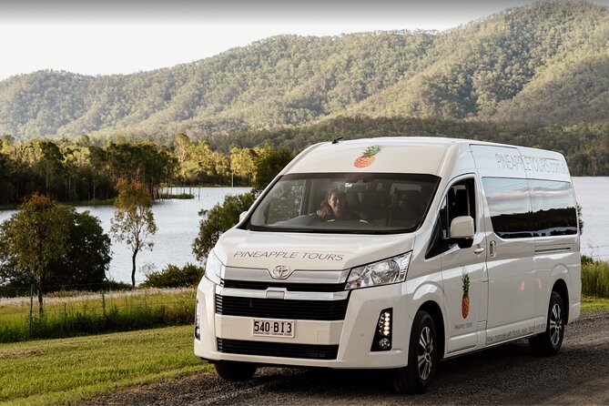Hop on Hop Off Bus - Tamborine Mountain - What kind of day is this?