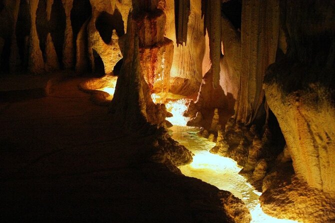 Hop on Hop off - Tamborine Rainforest Skywalk + Glow Worm Caves - Getting from Brisbane to the mountain