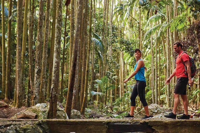 Hop on Hop off - Tamborine Rainforest Skywalk + Glow Worm Caves - Who will enjoy this tour most