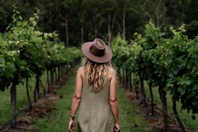 Hop on Hop off Wine tasting tour to Tamborine Mountain - Lunch on Tamborine Mountain