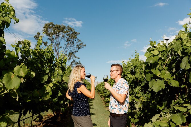 Hop on Hop off Wine tasting tour to Tamborine Mountain - How good is the $118.35 price?