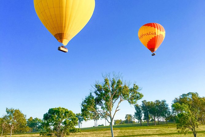 Hot Air Balloon Flight Brisbane with Vineyard Breakfast - What the $355.04 price covers