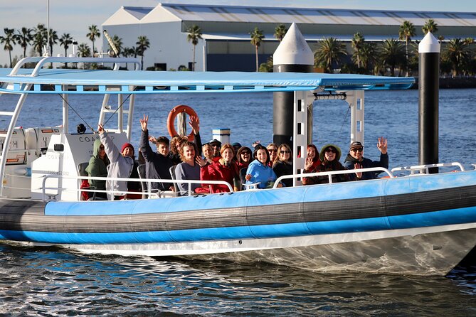 Humpback Whale Encounter Tour from Newcastle - Booking, Weather, and Cancellation Details