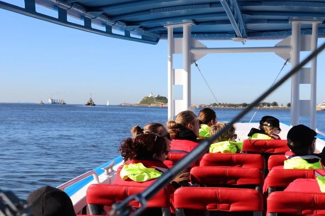 Humpback Whale Encounter Tour from Newcastle - Who Will Get the Most From This Cruise?