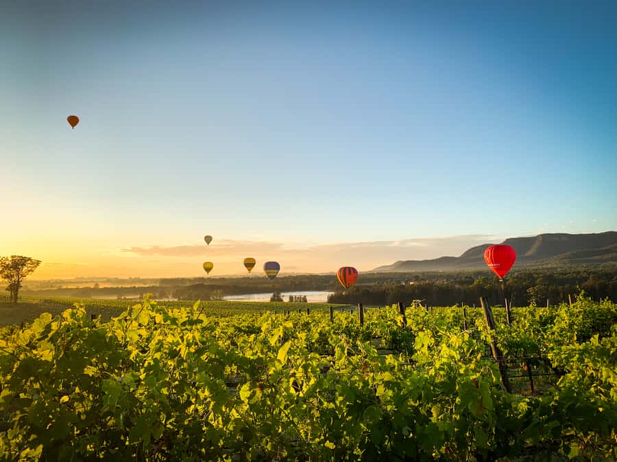 Hunter Valley: Sunrise Balloon Ride with Bubbly Breakfast - What the strongest parts of the experience are