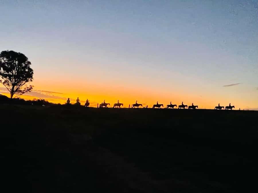 Hunter Valley: Sunset Horse Riding Tour 90min - Key points to know before booking