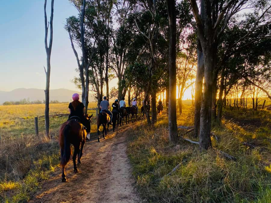 Hunter Valley: Sunset Horse Riding Tour 90min - What the 90-minute route feels like