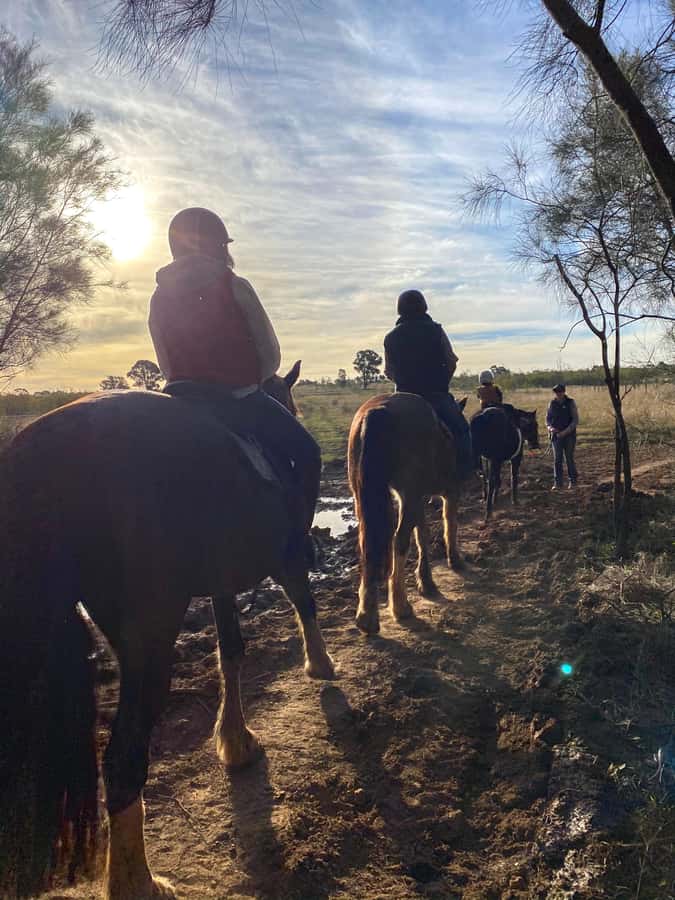 Hunter Valley: Sunset Horse Riding Tour 90min - How the $123 price measures up