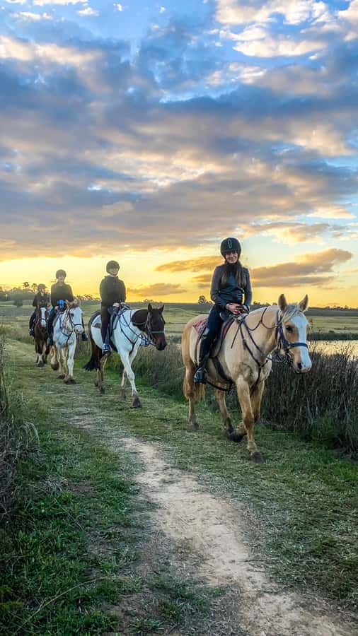 Hunter Valley: Sunset Horse Riding Tour 90min - Practical details that affect your evening