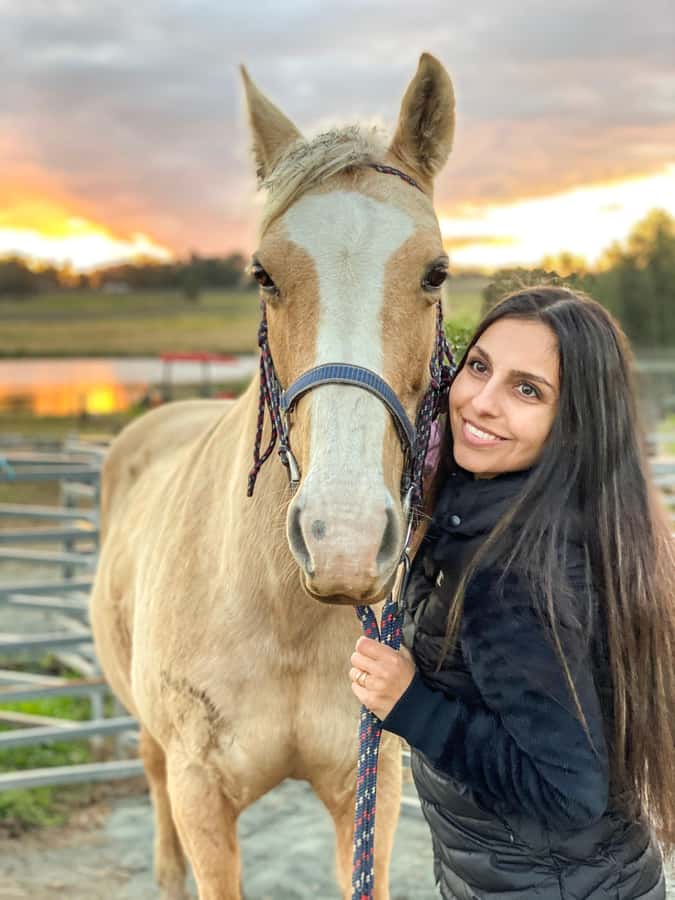 Hunter Valley: Sunset Horse Riding Tour 90min - A balanced look at the guide service