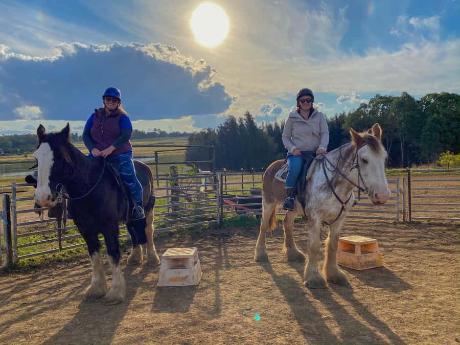 Hunter Valley: Sunset Horse Riding Tour 90min - Should you book the Hunter Valley sunset ride?