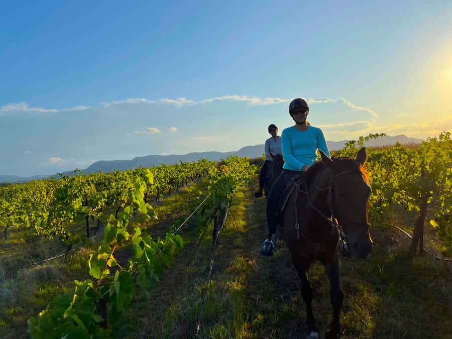 Hunter Valley: Sunset Horse Riding Tour 90min - Meeting your horse at Hunter Valley Resort
