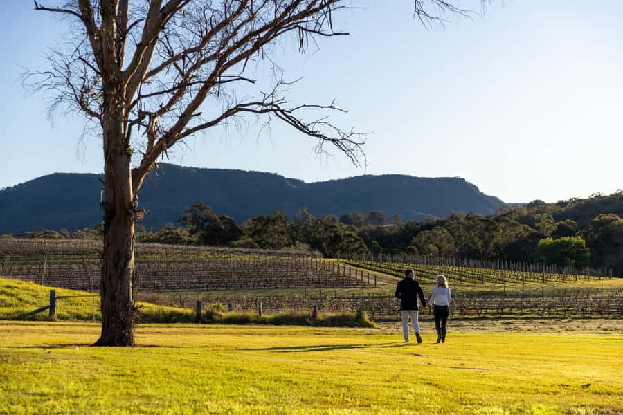 Hunter Valley: Wine and Cheese Tasting - Adding lunch or dinner at Hunters Quarter Restaurant