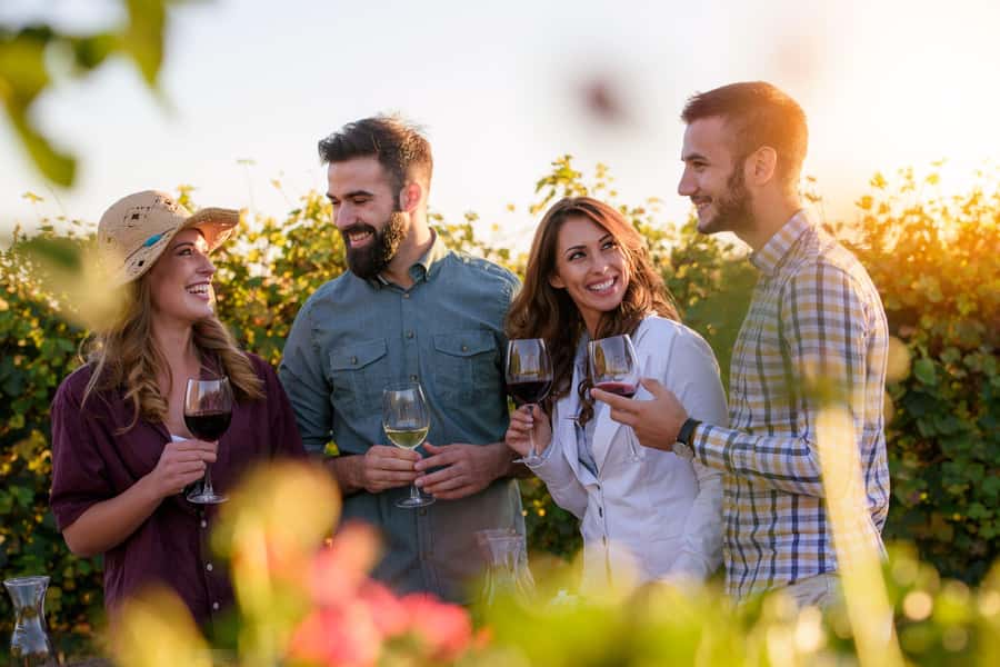 Hunter Valley: Wine, Chocolate and Lunch All Inclusive Tour - 4 Pines at the Farm combines tasting and lunch