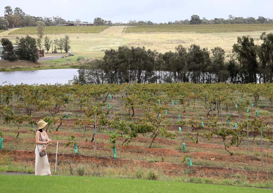 Hunter Valley: Wine, Chocolate and Lunch All Inclusive Tour - Finish with chocolate and local treats