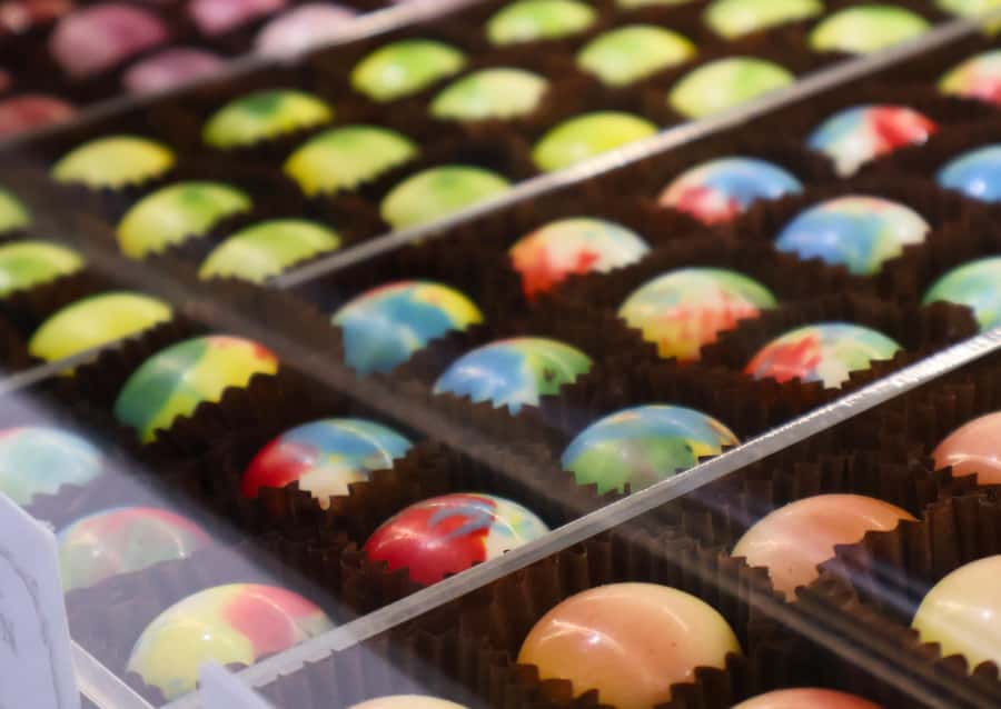 Hunter Valley: Wine, Chocolate and Lunch All Inclusive Tour - Practical tips for a smoother day