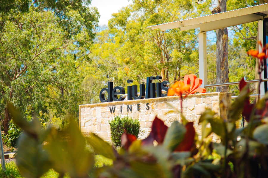 Hunter Valley: Wine, Spirits, and Cheese Tour with Lunch - The guide and the group atmosphere