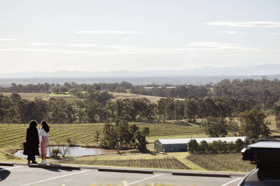 Hunter Valley: Wine Tour with 2-Course Lunch, Choc & Cheese - Chocolate after lunch