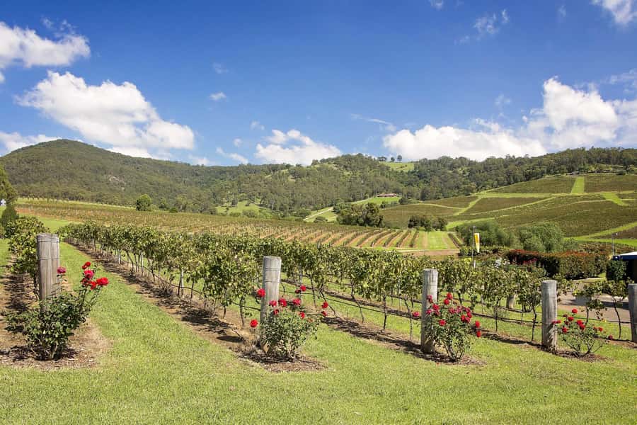 Hunter Valley: Wine Tour with 3 Tastings and Garden Lunch - Practical advice before you go