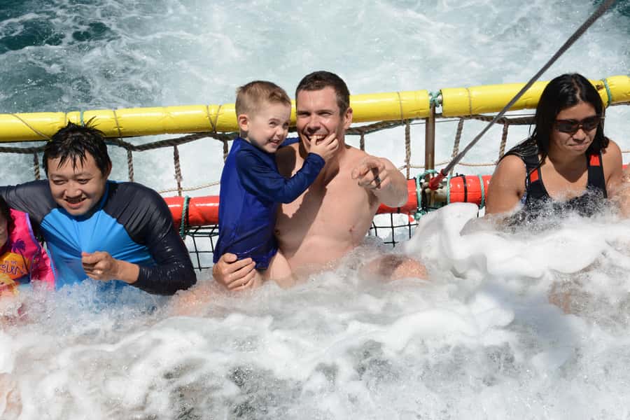 Huskisson: Dolphin Cruise & Boom Netting Experience - Why Jervis Bay makes a good dolphin cruise setting