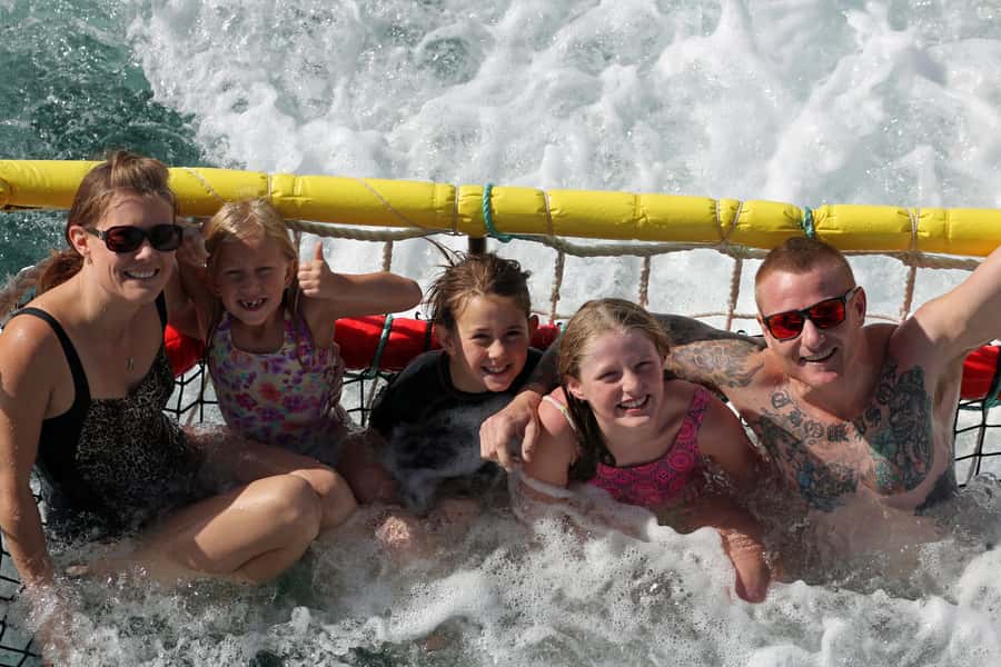 Huskisson: Dolphin Cruise & Boom Netting Experience - Watching Bottlenose dolphins in the protected water