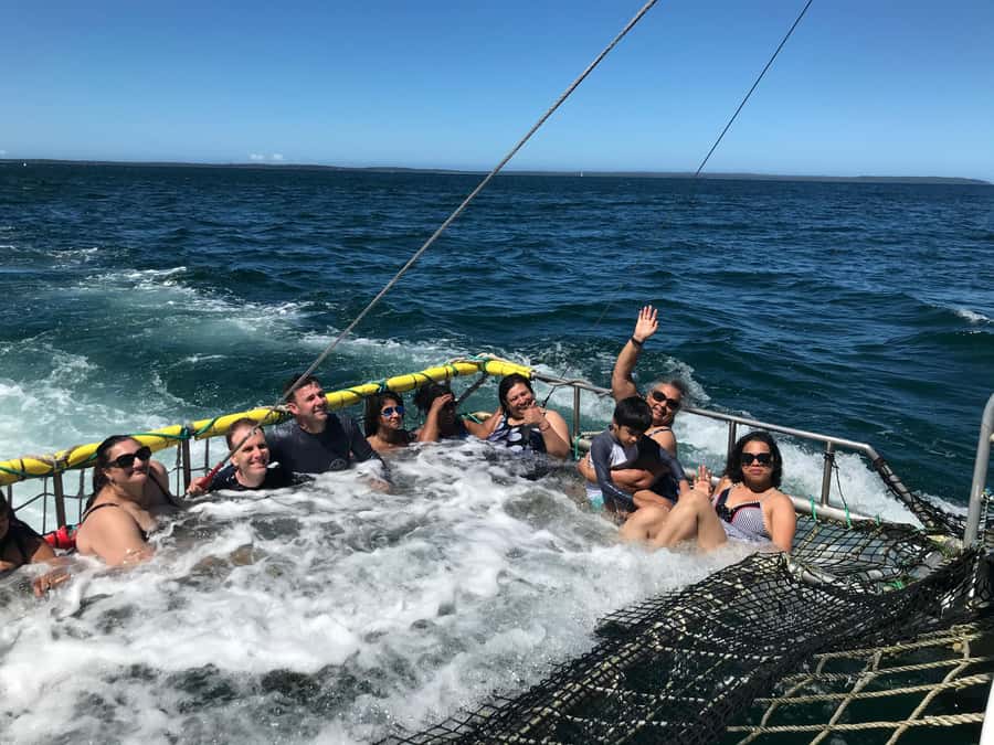 Huskisson: Dolphin Cruise & Boom Netting Experience - How the crew affects the experience