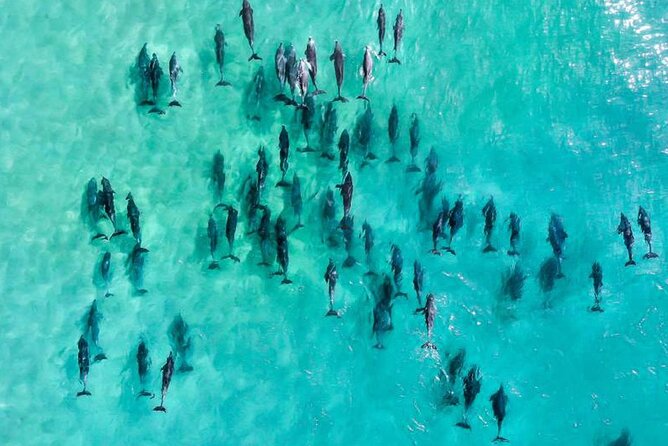 Inner Reef Explorer - 30 minute Reef Scenic Flight - Starting at Cairns Airport