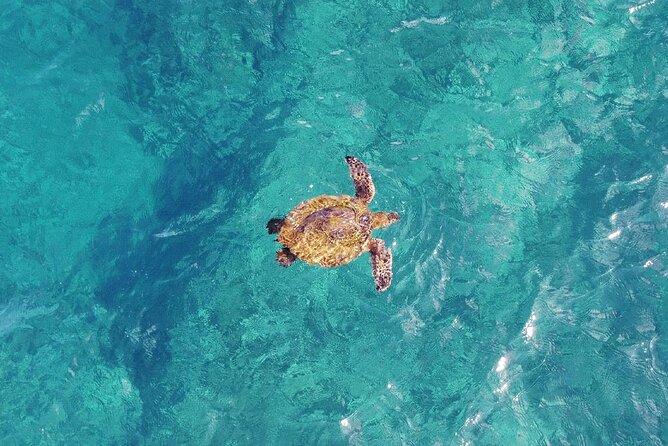 Inner Reef Explorer - 30 minute Reef Scenic Flight - What the small helicopter feels like