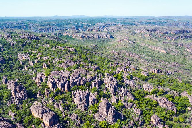 Jabiru 30 minute Scenic Flight - Billabongs and flood plains look different from the air