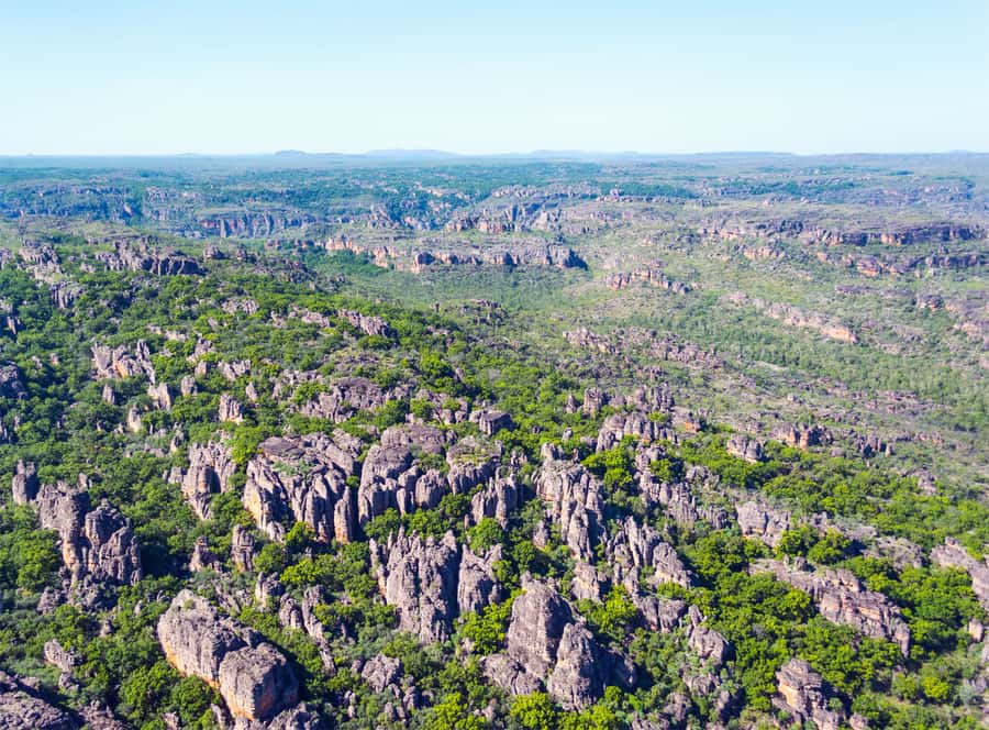 Jabiru: 30 minute Scenic flight over Kakadu National Park - East Alligator Valley and the shape of the river country