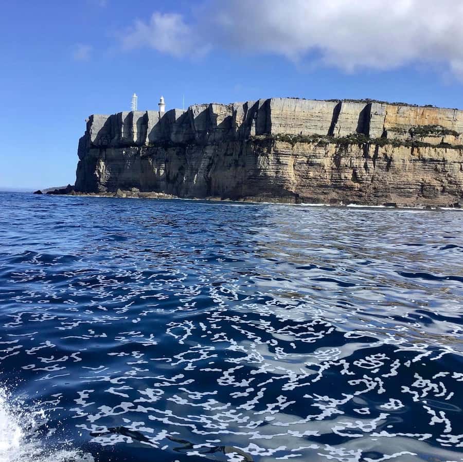 Jervis Bay: 2-Hour Cruise of Jervis Bay Passage - Commentary That Adds More Than Directions