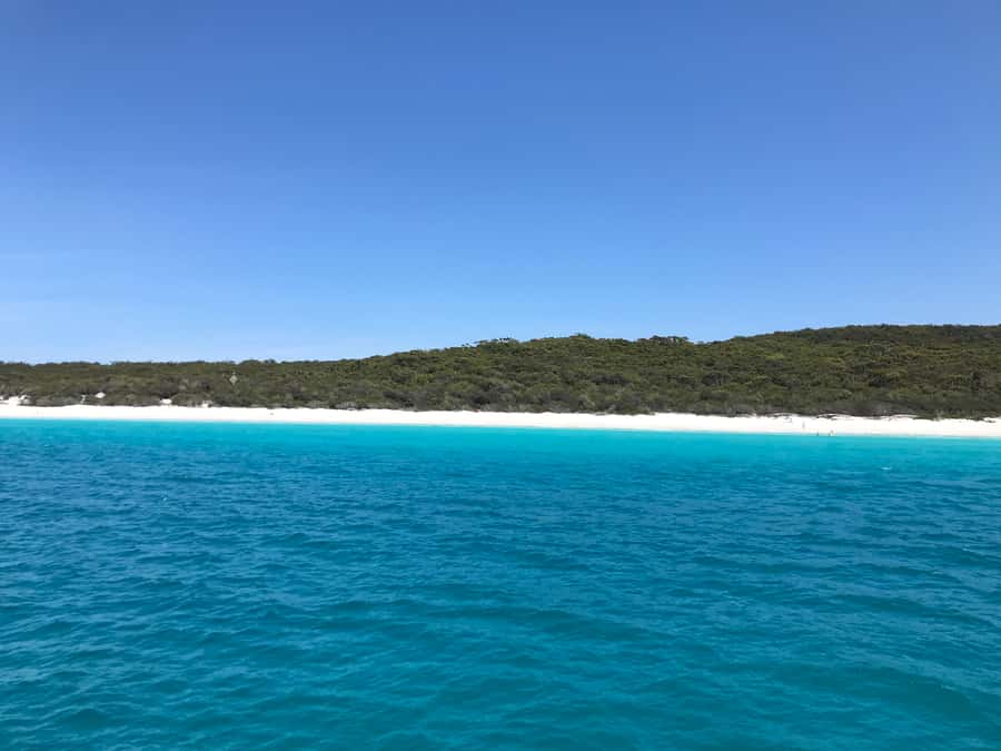 Jervis Bay: 2-Hour Cruise of Jervis Bay Passage - Weather, Route Changes, and Smart Planning