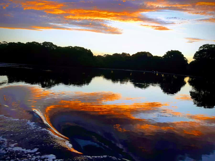 Jervis Bay: 2-Hour Sunset River Cruise - Leaving Huskisson Wharf for the Currambene River