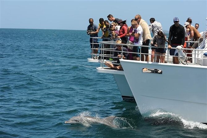 Jervis Bay Dolphin Cruise - Setting out from Currambene Street in Huskisson