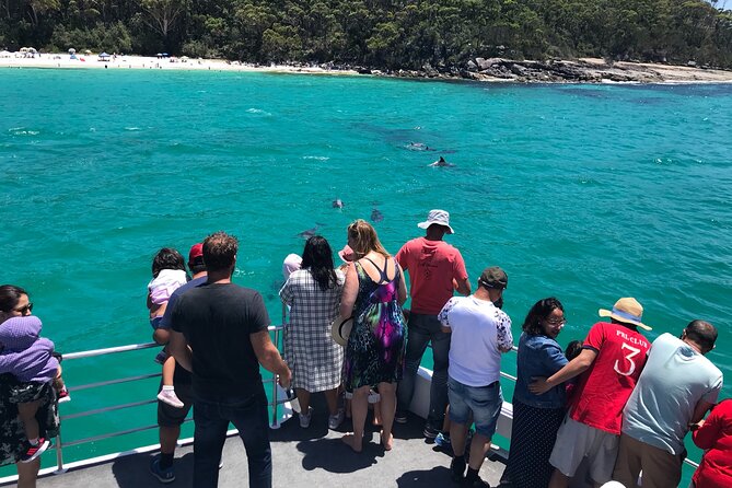 Jervis Bay Dolphin Cruise - Boat comfort, seating, and sea conditions