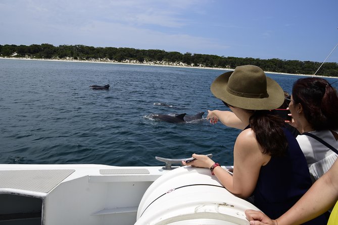 Jervis Bay Dolphin Cruise - Jervis Bay Marine Park and its resident dolphins