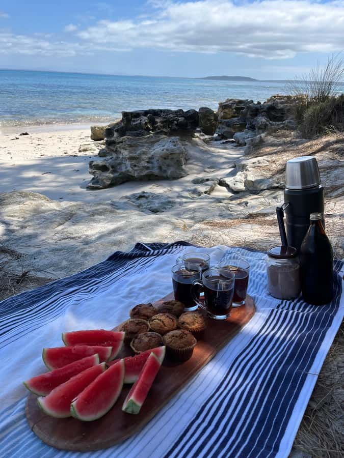 Jervis Bay: Guided Snorkelling Tour with expert guide - A three-hour morning with no wasted extras