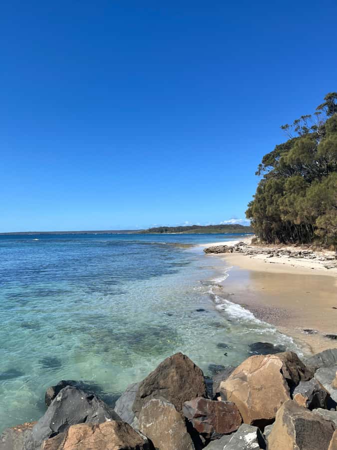 Jervis Bay: Guided Snorkelling Tour with expert guide - Is $81 a fair price?
