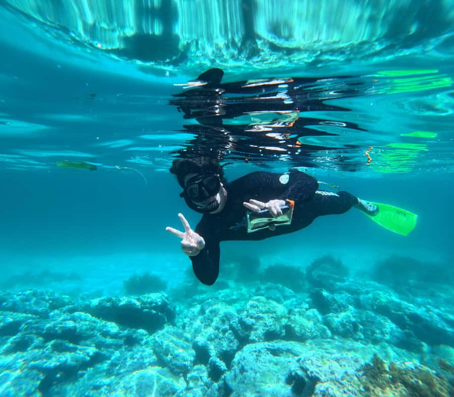 Jervis Bay: Guided Snorkelling Tour with expert guide - Practical tips for a better morning