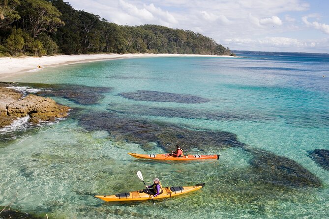 Jervis Bay Whale Watching Tour - The wildlife you might see