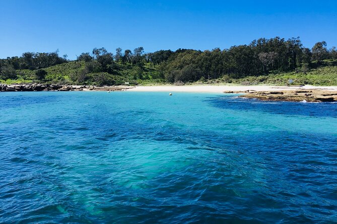 Jervis Bay Whale Watching Tour - Who will enjoy this cruise most
