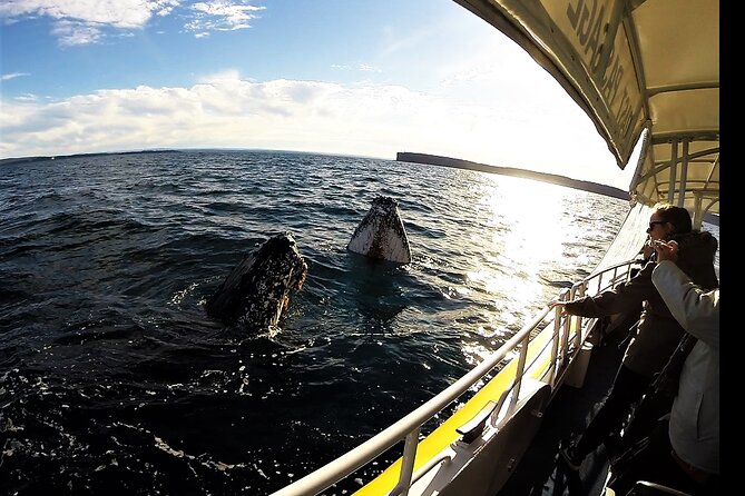 Jervis Bay Whale Watching Tour - Leaving Huskisson for the marine park