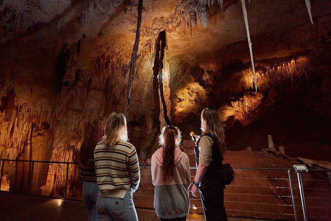 Jewel Cave Fully-guided Tour (Located in Western Australia) - The stairs are the main practical issue